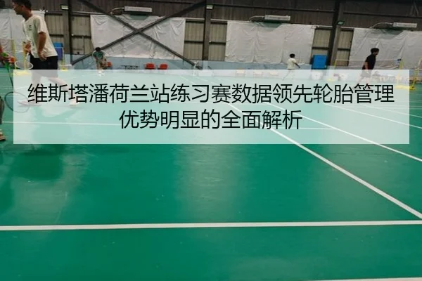 维斯塔潘荷兰站练习赛数据领先轮胎管理优势明显的全面解析