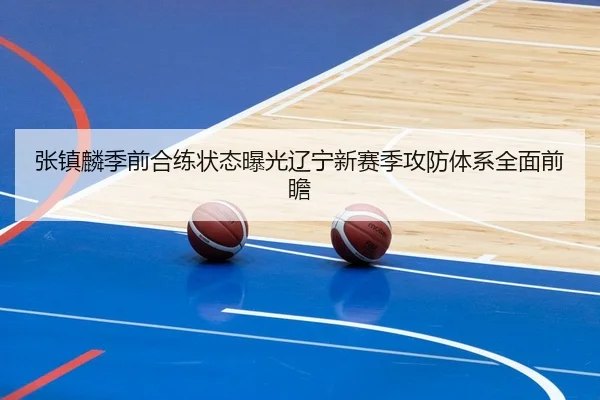 张镇麟季前合练状态曝光辽宁新赛季攻防体系全面前瞻